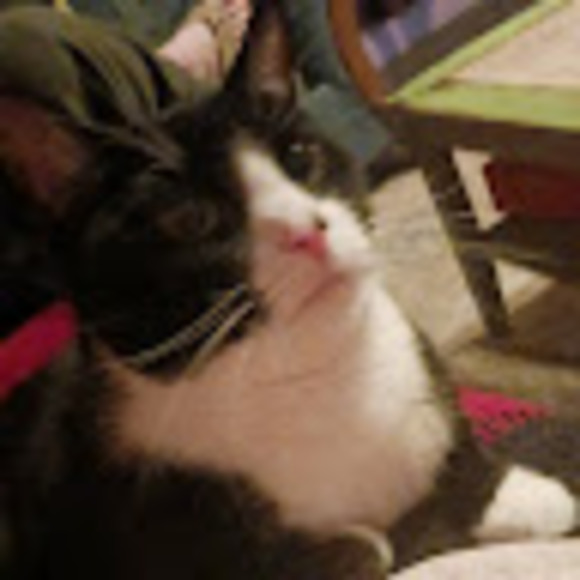 lilgbenson2003